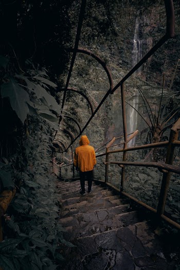 Person Wearing Orange Hoodie