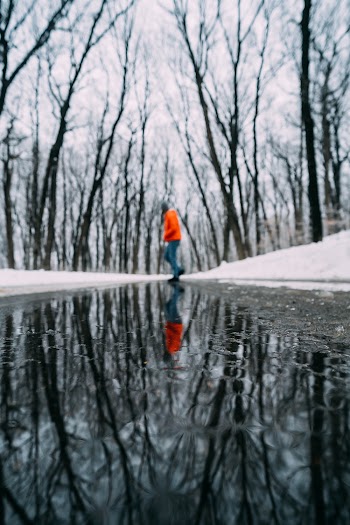 Person Wearing Orange Jacket