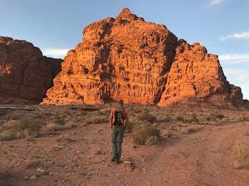 Person Wearing Orange Shirt and Green Pants 