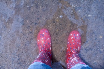 Person Wearing Pink Knee-high Rain Boots Standing on Brown Floor