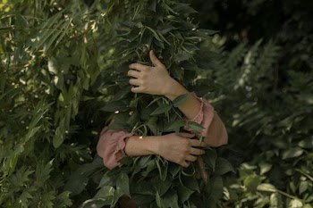 person wearing pink long-sleeved shirt hugging green leaves covering his/her body