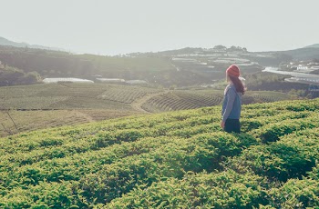 Person Wearing Red Knit Cap Looking in Front of Field