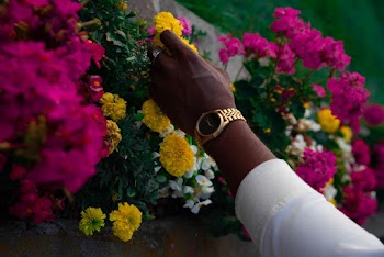 Person Wearing Round Gold-colored Analog Watch