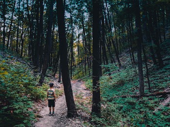 Person Wearing Shirt Standing Near Tree