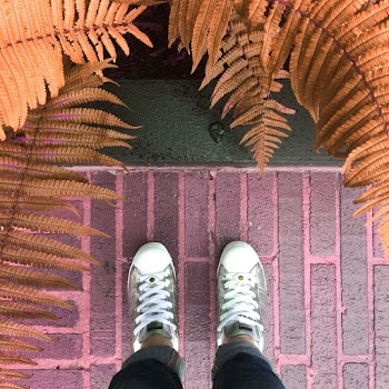 Person Wearing Silver Sneakers In Front Of Brown Ferns