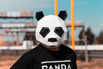 Person Wearing White and Black Panda Full-face Mask