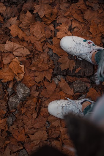 Person Wearing White Shoes