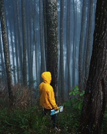 Person Wearing Yellow Hooded Jacket