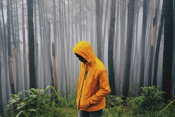 Person Wearing Yellow Zip-up Hooded Jacket