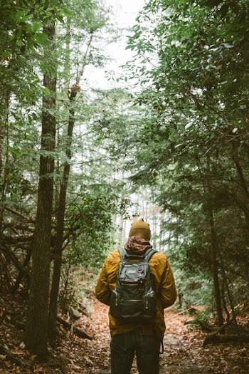 person with backpack walking through woods