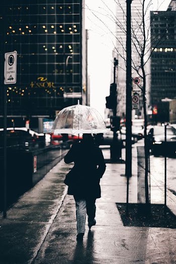 person with umbrella walking in the street