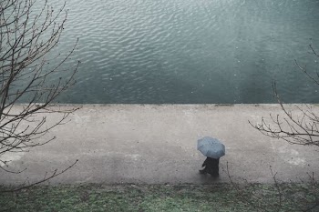 person with umbrella walking on road near body of water during daytime