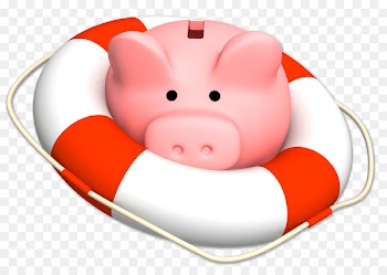 Personal finance Money Investment Credit - econ bubble 