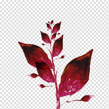 Personality watercolor autumn leaves transparent background PNG clipart
