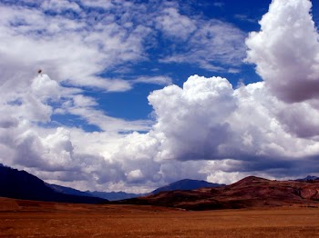 peruvianCN_0383.jpg