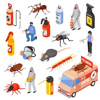 Pest control 3d isomeric set Free Vector