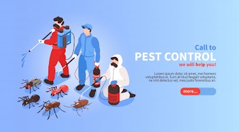 Pest control house hygiene disinfection service isometric website banner with professional team exterminating insects background Free Vector