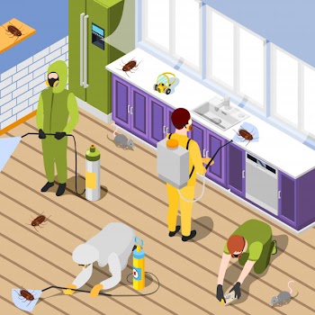 Pest control isometric background Free Vector