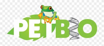 Pet Biologia Ufv - Green-eyed Tree Frog