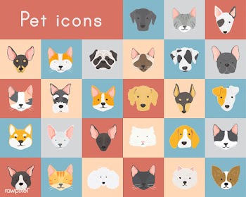 Pet bull terrier icon | Free stock vector - 66020