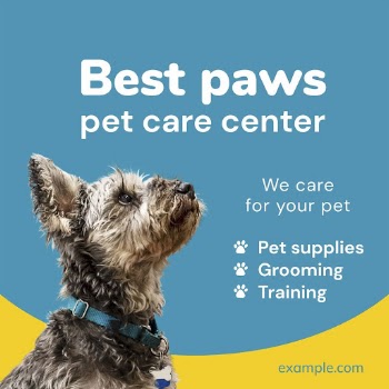 Pet care Facebook post template | Free Vector Template - rawpixel