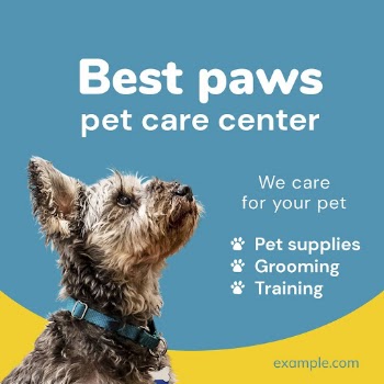 Pet care Instagram ad template | Free PSD Template - rawpixel