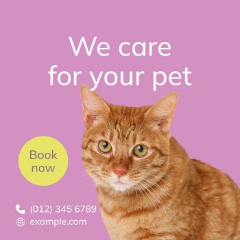 Pet care Instagram ad template | Free Vector Template - rawpixel