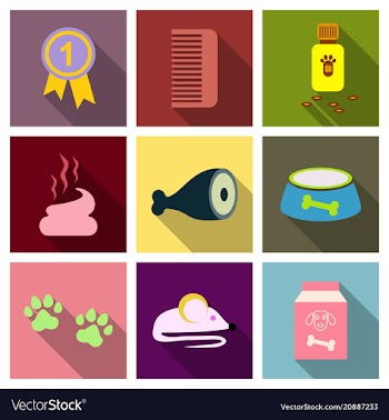 Pet care supply accessories and products vector image