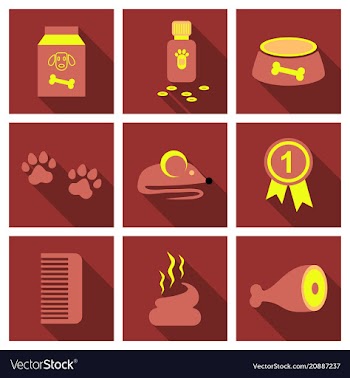 Pet care supply accessories and products vector image