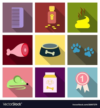 Pet care supply accessories and products vector image