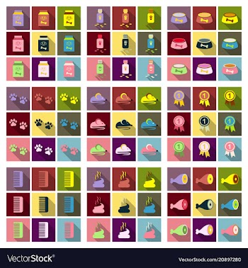 Pet care supply accessories and products vector image