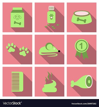 Pet care supply accessories and products vector image