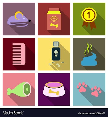 Pet care supply accessories and products vector image