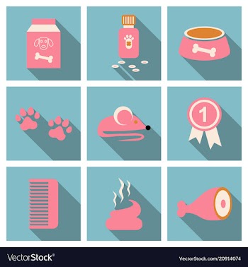 Pet care supply accessories and products vector image