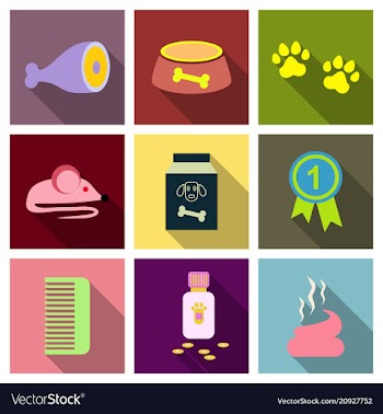 Pet care supply accessories and products vector image