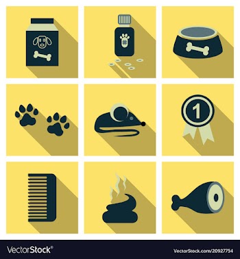 Pet care supply accessories and products vector image