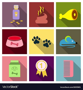 Pet care supply accessories and products vector image