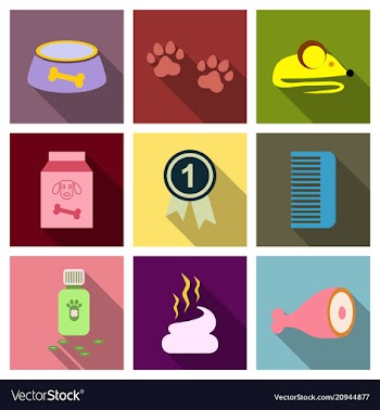 Pet care supply accessories and products vector image
