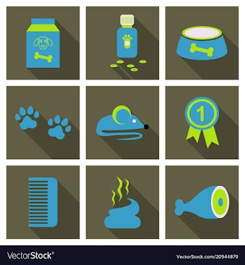 Pet care supply accessories and products vector image