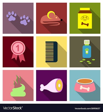 Pet care supply accessories and products vector image