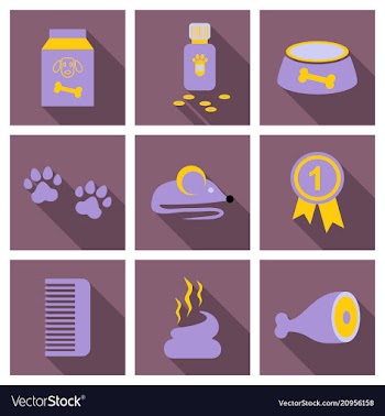 Pet care supply accessories and products vector image