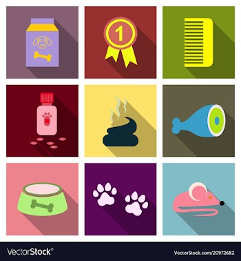 Pet care supply accessories and products vector image