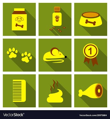 Pet care supply accessories and products vector image