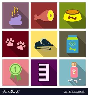 Pet care supply accessories and products vector image