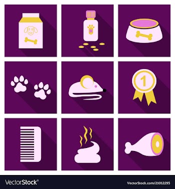 Pet care supply accessories and products vector image
