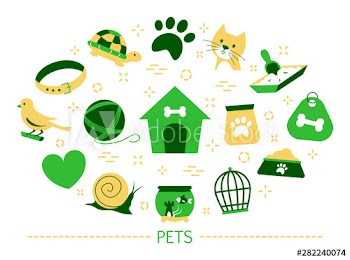 Pet concept