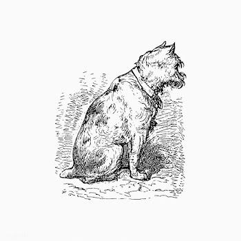 Pet dog vintage drawing | Free stock vector - 572404
