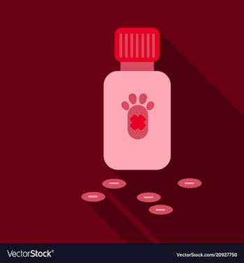 Pet drugs vitamins outline isolated on background vector image