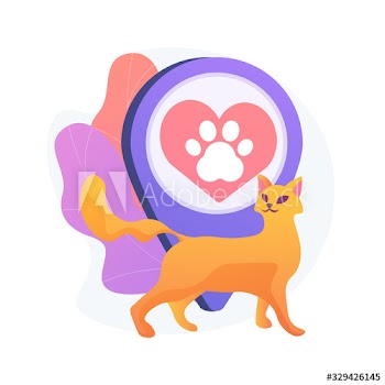 Pet friendly area