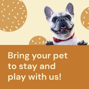 Pet hotel Instagram ad template | Free PSD Template - rawpixel